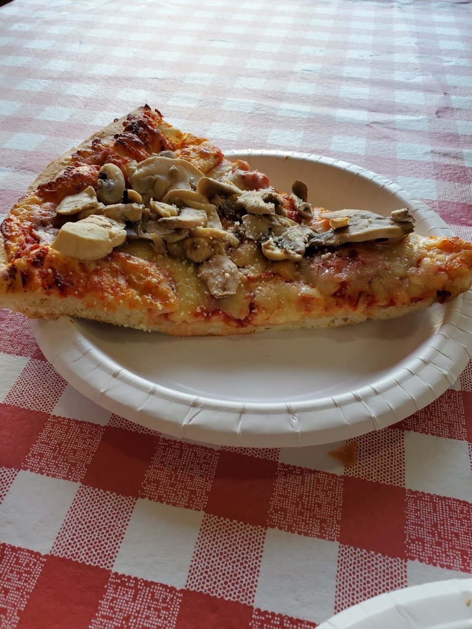 Mushrooms Pizza